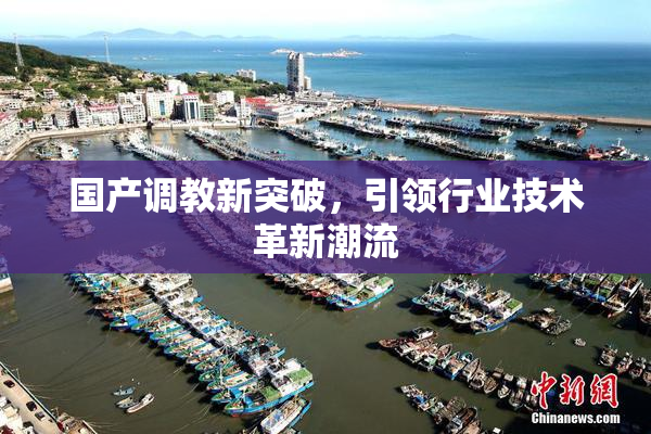 国产调教新突破，引领行业技术革新潮流