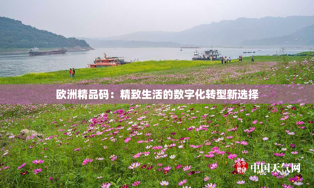 欧洲精品码：精致生活的数字化转型新选择