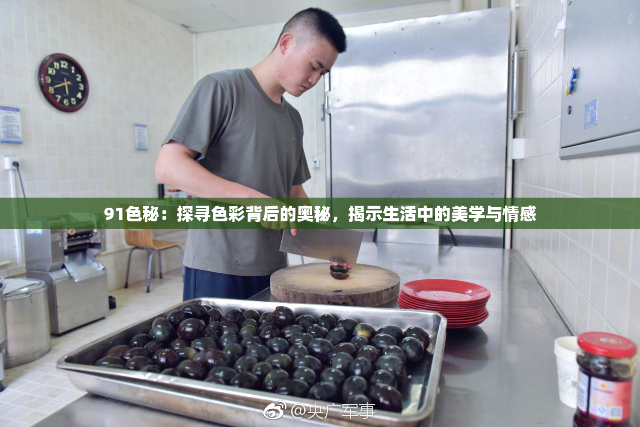 91色秘：探寻色彩背后的奥秘，揭示生活中的美学与情感