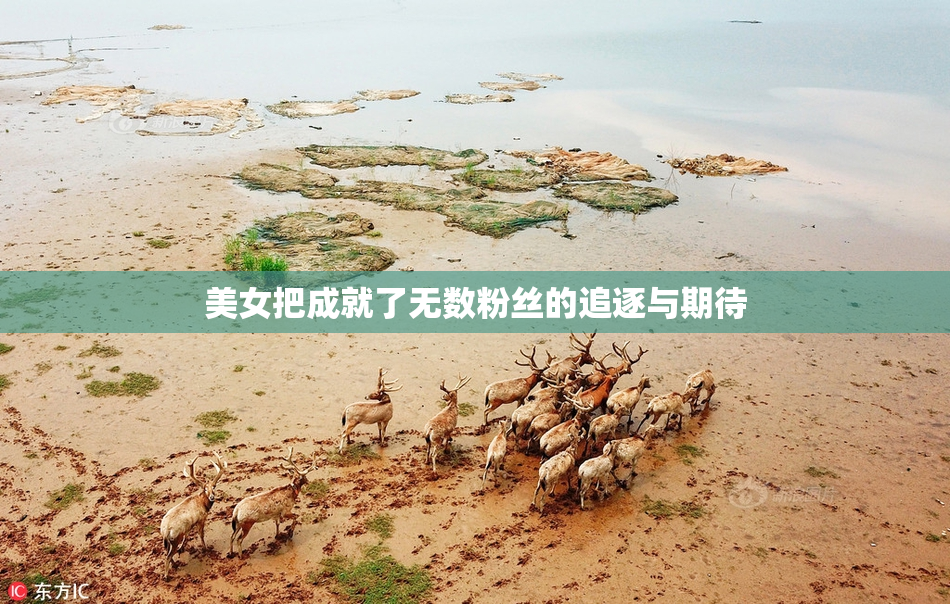 美女把成就了无数粉丝的追逐与期待