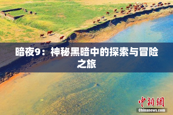 暗夜9：神秘黑暗中的探索与冒险之旅