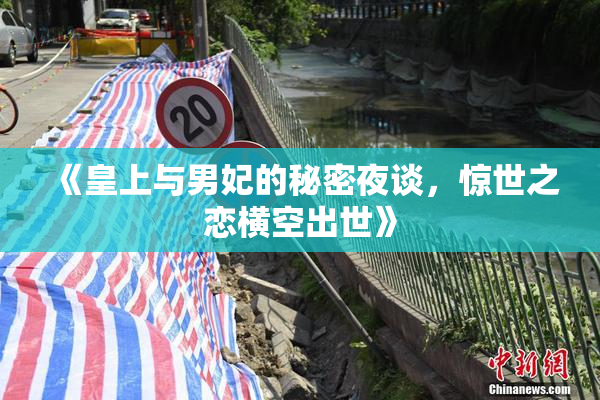 《皇上与男妃的秘密夜谈，惊世之恋横空出世》