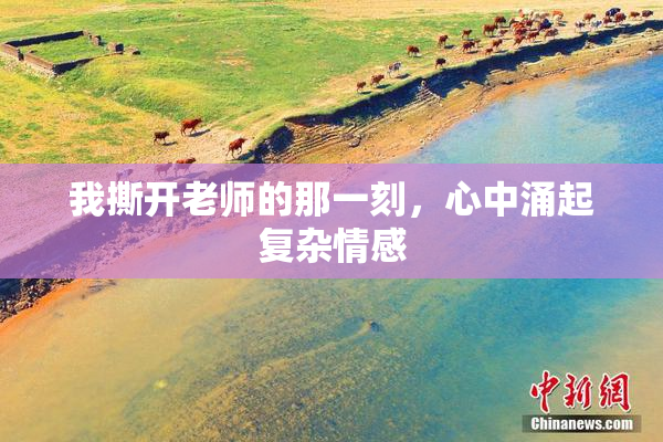 我撕开老师的那一刻，心中涌起复杂情感