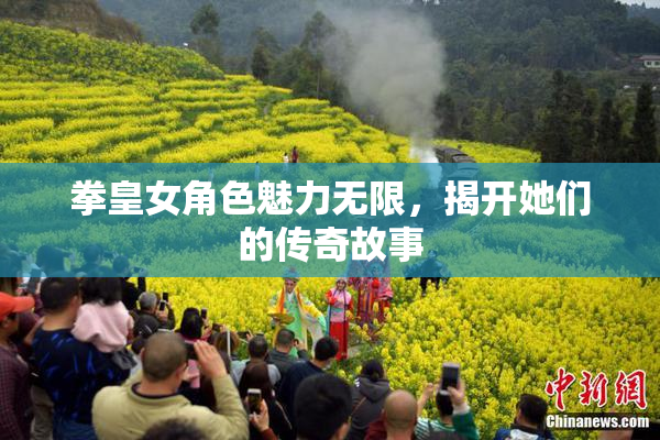 拳皇女角色魅力无限，揭开她们的传奇故事