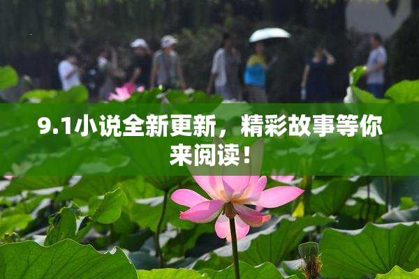 9.1小说全新更新，精彩故事等你来阅读！