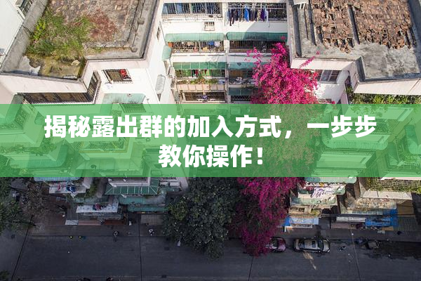 揭秘露出群的加入方式，一步步教你操作！