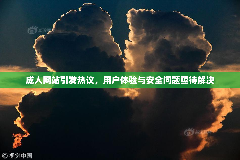 成人网站引发热议，用户体验与安全问题亟待解决