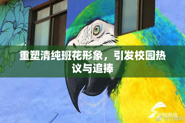 重塑清纯班花形象，引发校园热议与追捧