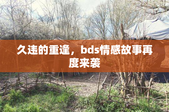 久违的重逢，bds情感故事再度来袭