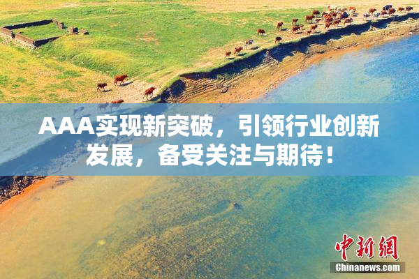 AAA实现新突破，引领行业创新发展，备受关注与期待！