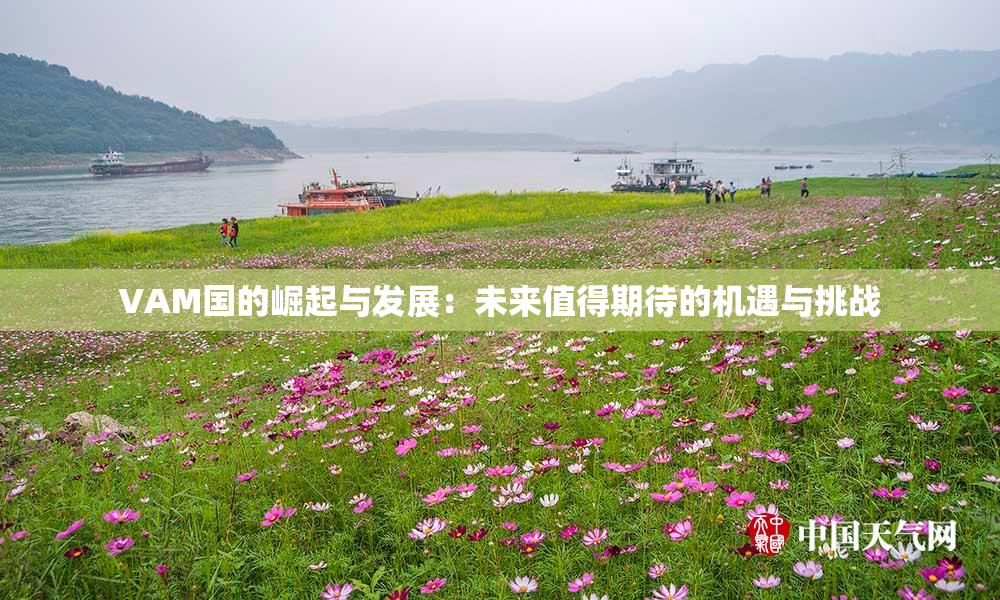 VAM国的崛起与发展：未来值得期待的机遇与挑战