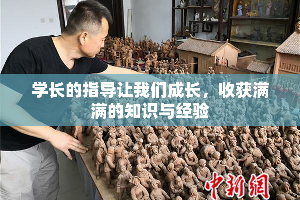 学长的指导让我们成长，收获满满的知识与经验