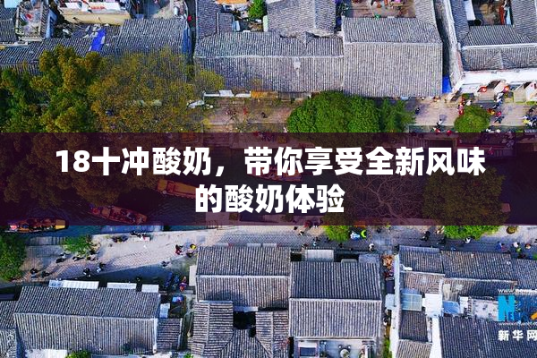 18十冲酸奶，带你享受全新风味的酸奶体验
