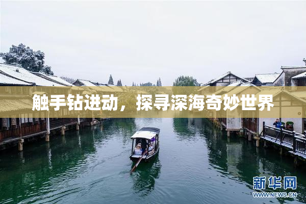 触手钻进动，探寻深海奇妙世界