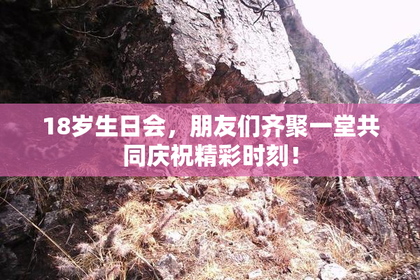 18岁生日会，朋友们齐聚一堂共同庆祝精彩时刻！
