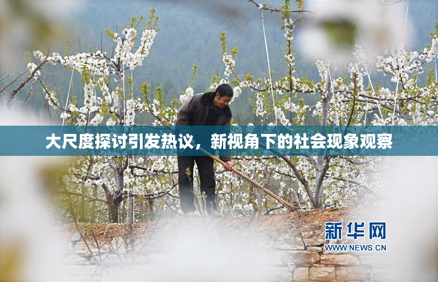 大尺度探讨引发热议，新视角下的社会现象观察