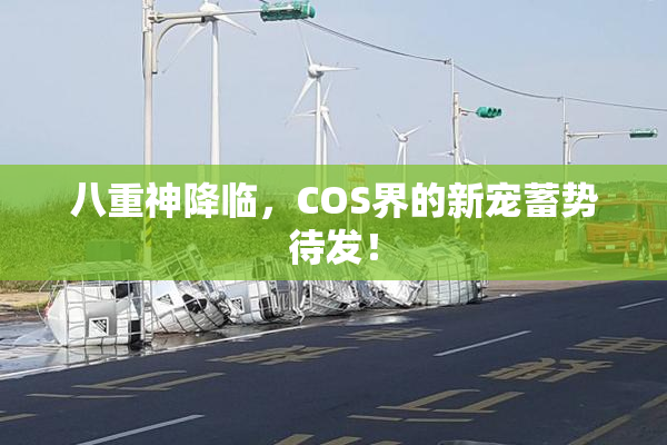 八重神降临，COS界的新宠蓄势待发！