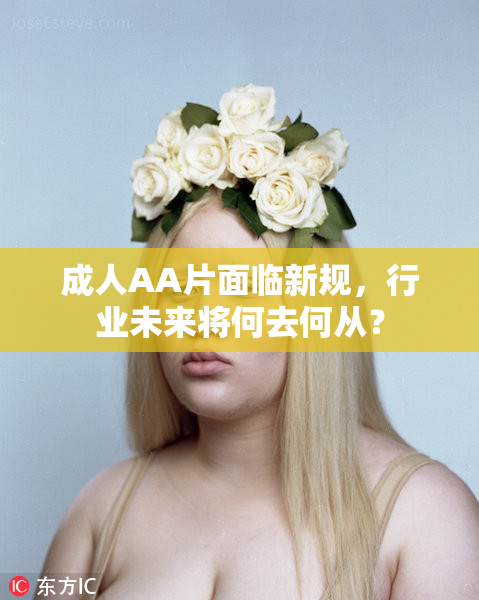 成人AA片面临新规，行业未来将何去何从？