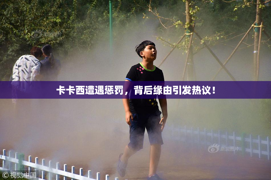 卡卡西遭遇惩罚，背后缘由引发热议！