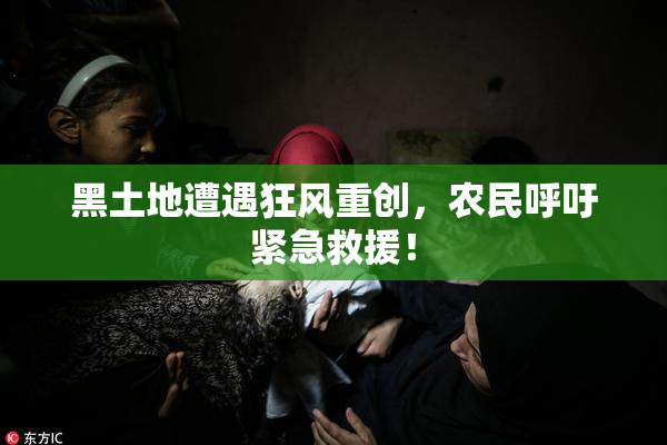 黑土地遭遇狂风重创，农民呼吁紧急救援！