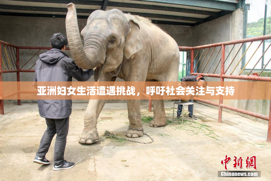 亚洲妇女生活遭遇挑战，呼吁社会关注与支持