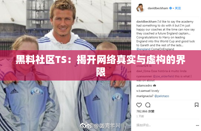 黑料社区TS：揭开网络真实与虚构的界限