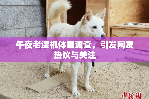 午夜老湿机体重调查，引发网友热议与关注