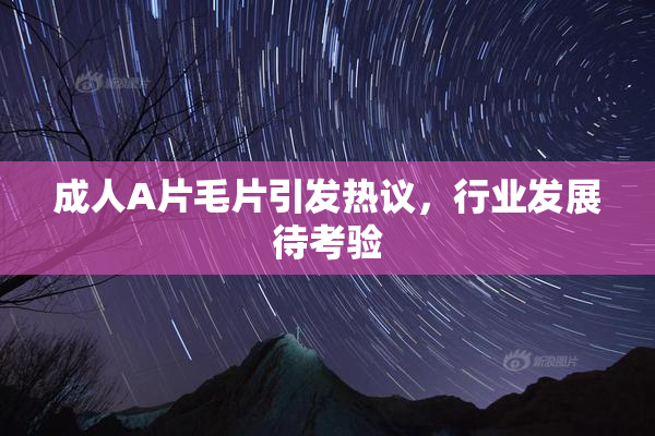 成人A片毛片引发热议，行业发展待考验