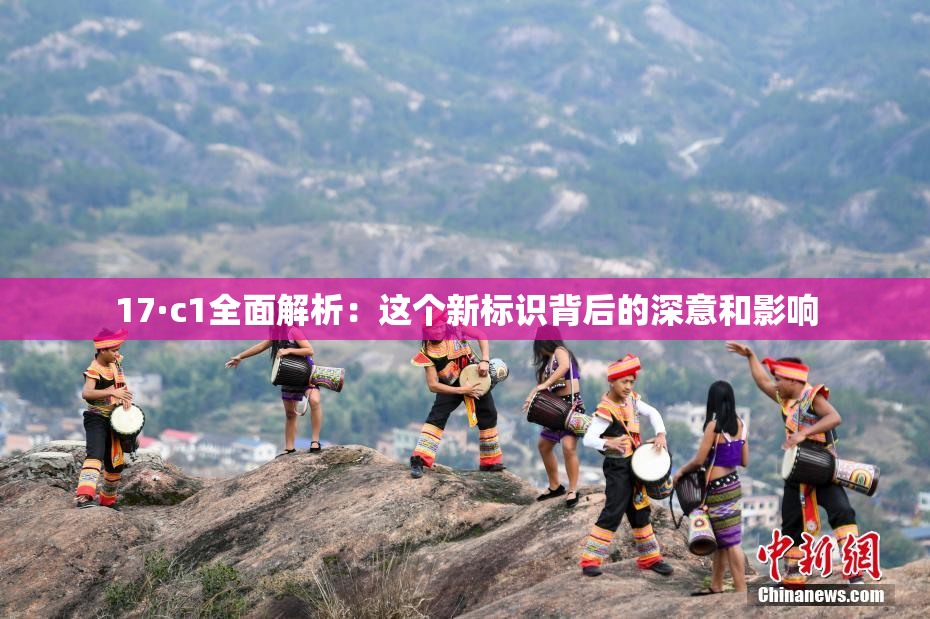 17·c1全面解析：这个新标识背后的深意和影响