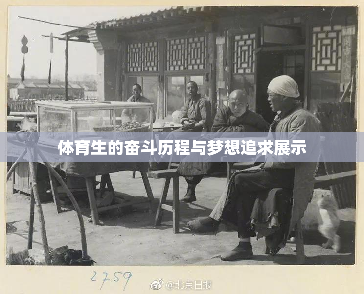 体育生的奋斗历程与梦想追求展示