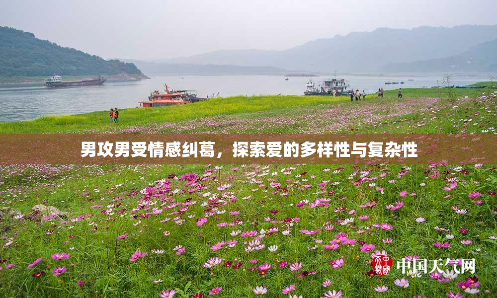 男攻男受情感纠葛，探索爱的多样性与复杂性