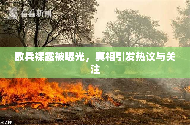 散兵裸露被曝光，真相引发热议与关注