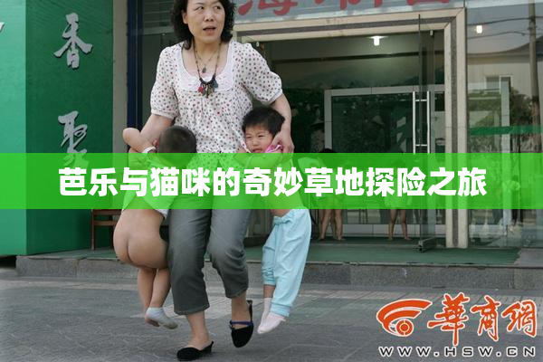 芭乐与猫咪的奇妙草地探险之旅