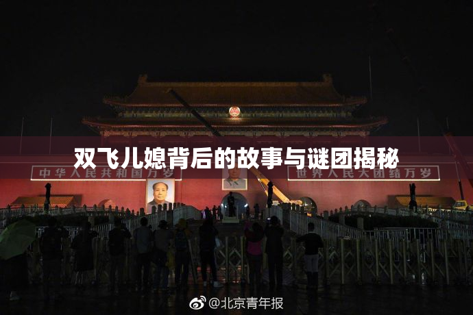 双飞儿媳背后的故事与谜团揭秘