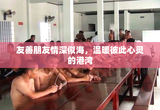 友善朋友情深似海，温暖彼此心灵的港湾
