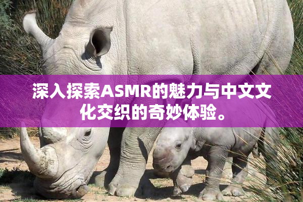 深入探索ASMR的魅力与中文文化交织的奇妙体验。