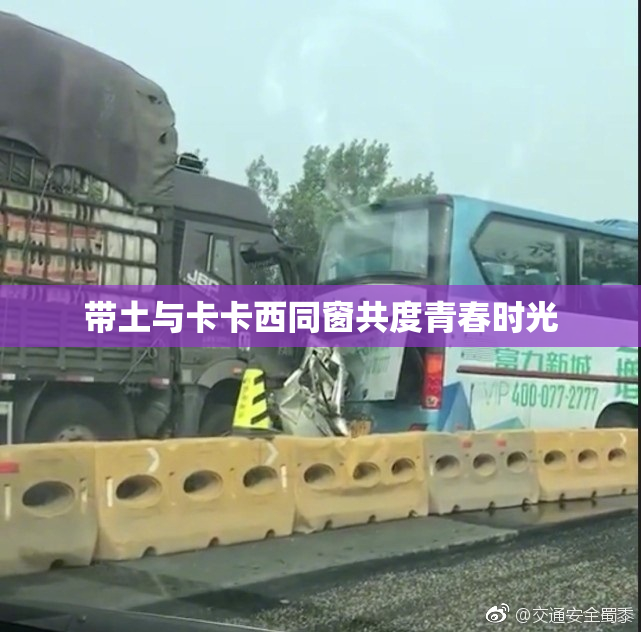 带土与卡卡西同窗共度青春时光