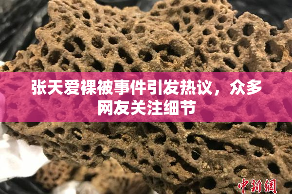 张天爱裸被事件引发热议，众多网友关注细节