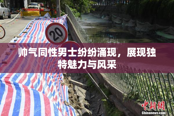帅气同性男士纷纷涌现，展现独特魅力与风采