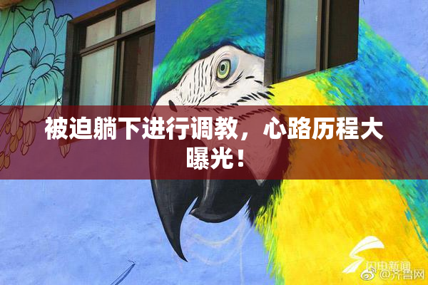 被迫躺下进行调教，心路历程大曝光！