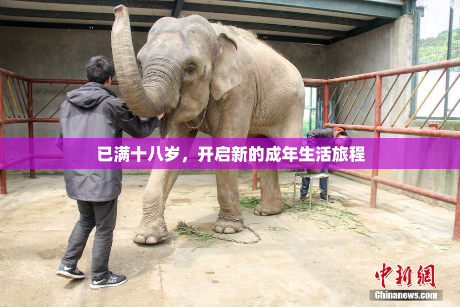 已满十八岁，开启新的成年生活旅程