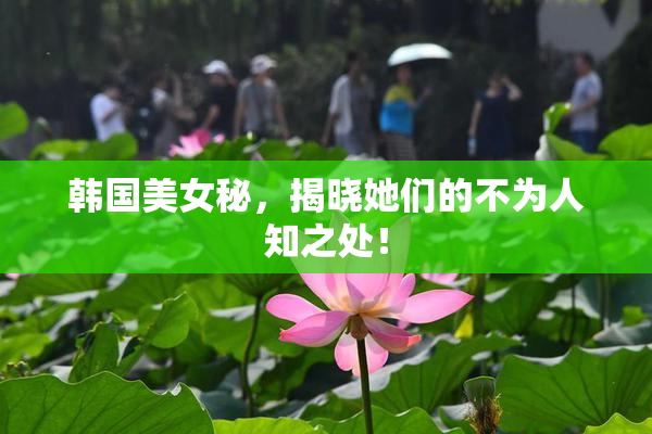 韩国美女秘，揭晓她们的不为人知之处！