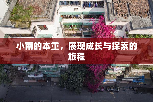 小南的本重，展现成长与探索的旅程