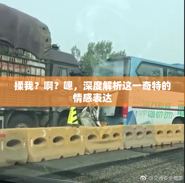 揉我？啊？嗯，深度解析这一奇特的情感表达