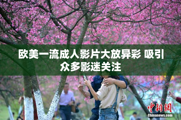 欧美一流成人影片大放异彩 吸引众多影迷关注