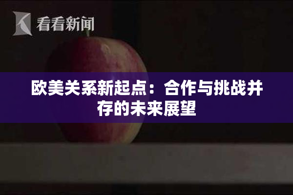 欧美关系新起点：合作与挑战并存的未来展望