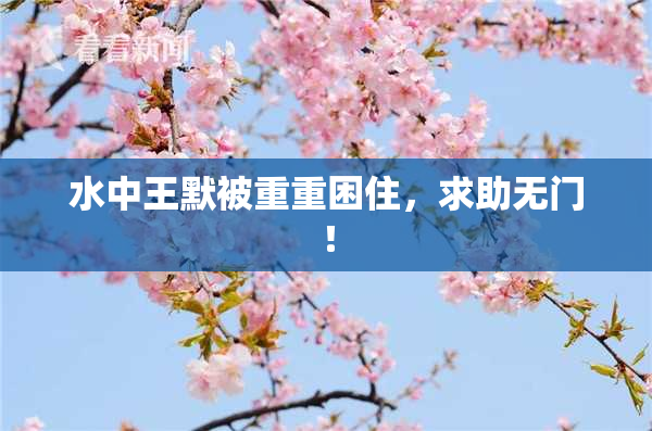 水中王默被重重困住，求助无门！
