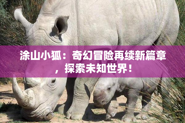 涂山小狐：奇幻冒险再续新篇章，探索未知世界！