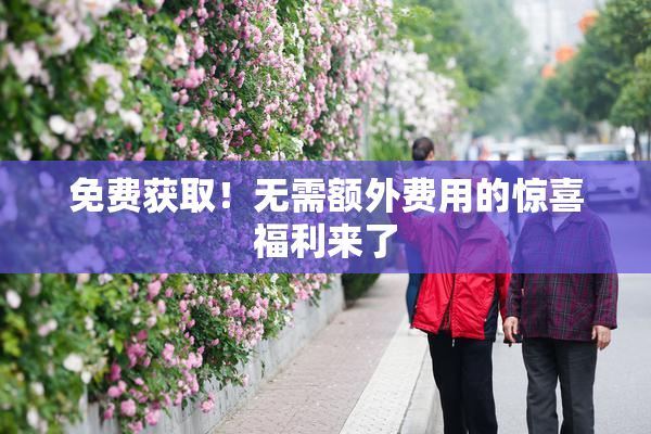 免费获取！无需额外费用的惊喜福利来了