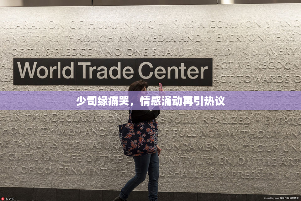 少司缘痛哭，情感涌动再引热议